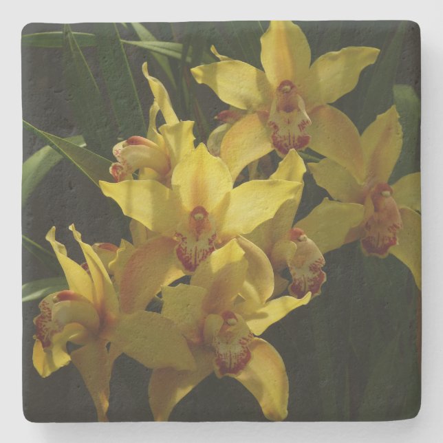 Dessous-de-verre En Pierre Orchidées Jaunes Sunlit Floral (Devant)