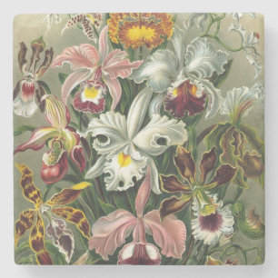 Dessous-de-verre En Pierre Orchidées vintages - Formes d'art de la nature Ern