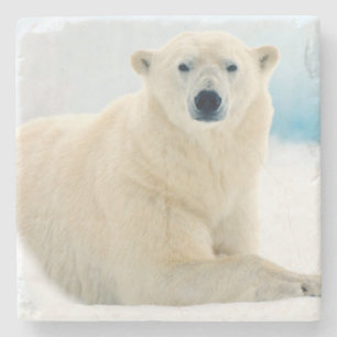 Dessous-de-verre En Pierre Ours polaire adulte grand verrat sur la glace d'ét
