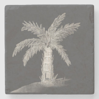Dessous-de-verre En Pierre Palmier bouteille dessiné à la main avec des frond