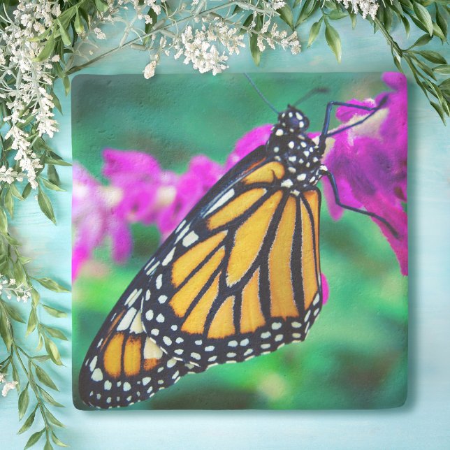 Dessous-de-verre En Pierre Papillon monarque orange photo fleur violette auda (Créateur téléchargé)
