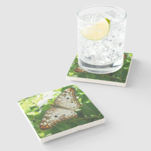 Dessous-de-verre En Pierre Papillon sur Jasmin Photographie de la nature trop
