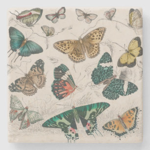 Dessous-de-verre En Pierre Papillons Collection Antique Papillons