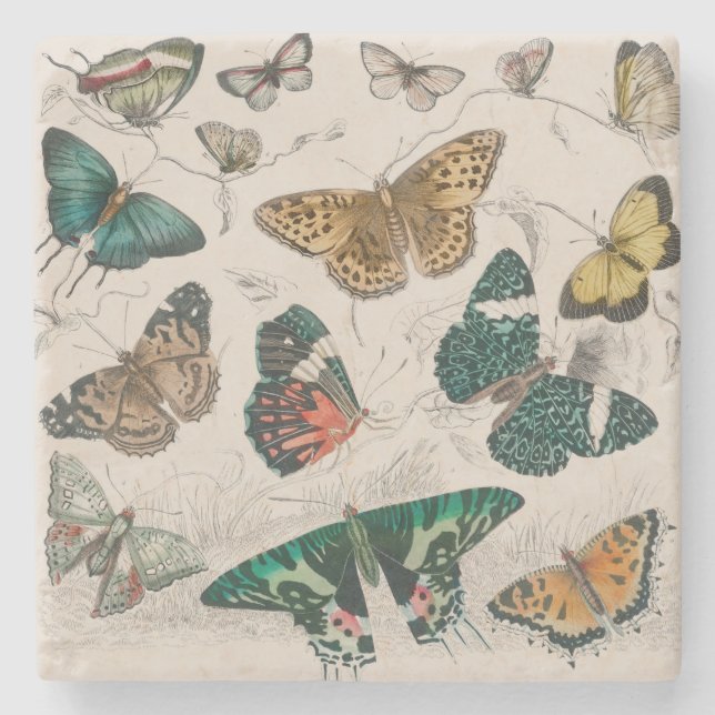 Dessous-de-verre En Pierre Papillons Collection Antique Papillons (Devant)