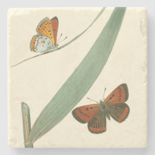 Dessous-de-verre En Pierre Papillons colorés flottant autour d'une feuille