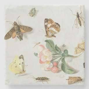 Dessous-de-verre En Pierre Papillons, mites et d'autres insectes