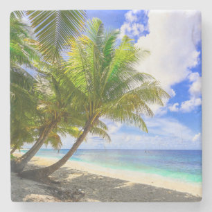 Dessous-de-verre En Pierre Paumes tropicales chaudes de plage sablonneuse