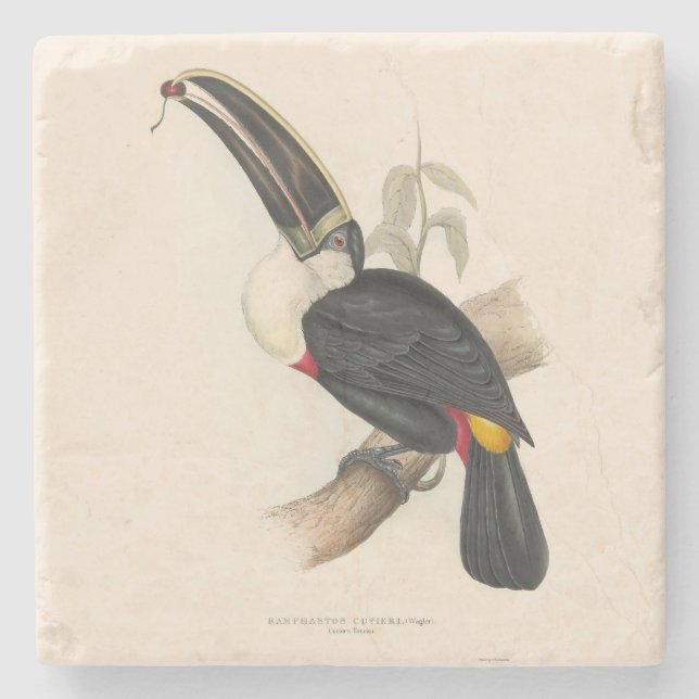 Dessous-de-verre En Pierre Peinture animalière d'antiquités Toucans (Devant)