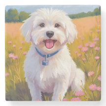 Peinture de champ de fleurs de chien maltais