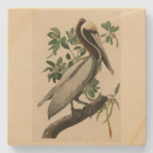 Dessous-de-verre En Pierre Pélican Brown d'Audubon's Birds of America