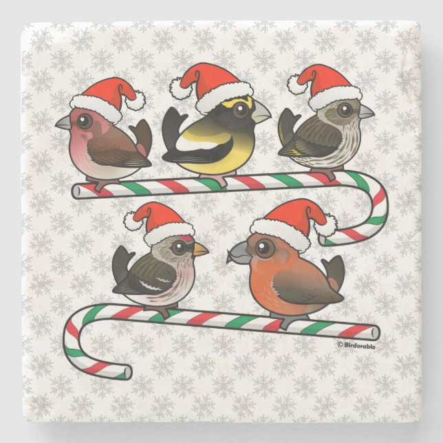 Dessous-de-verre En Pierre Père Noël Finches (Devant)