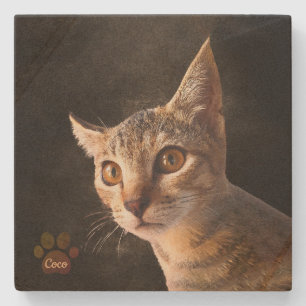 Dessous-de-verre En Pierre Personnalisé Cute Animal Kitten Chat Chien Modèle