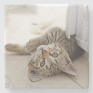 Dessous-de-verre En Pierre Petit chaton mignon