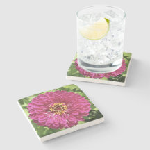 Photo de fleur de Zinnia vive