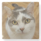 Photo personnalisée