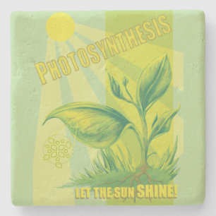 Dessous-de-verre En Pierre Photosynthèse