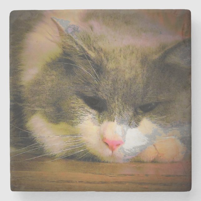 Dessous-de-verre En Pierre Pink Chat Sullen Mood Sad Kitty (Devant)