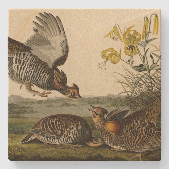 Dessous-de-verre En Pierre Pinnated Grouse (Devant)