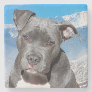 Dessous-de-verre En Pierre Pitbull