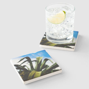 Dessous-de-verre En Pierre Plante vert en aloe avec ciel bleu clair
