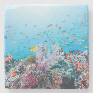 Dessous-de-verre En Pierre Plongée à l'air avec le récif et le corail colo