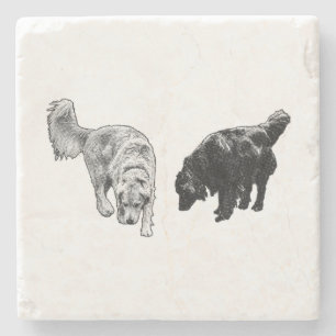 Dessous-de-verre En Pierre Poignée de point d'aération — Retriever Duo