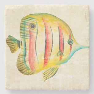 Dessous-de-verre En Pierre Poissons colorés
