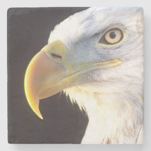 Dessous-de-verre En Pierre Portrait d'aigle à tête blanche, Haliaeetus leucoc