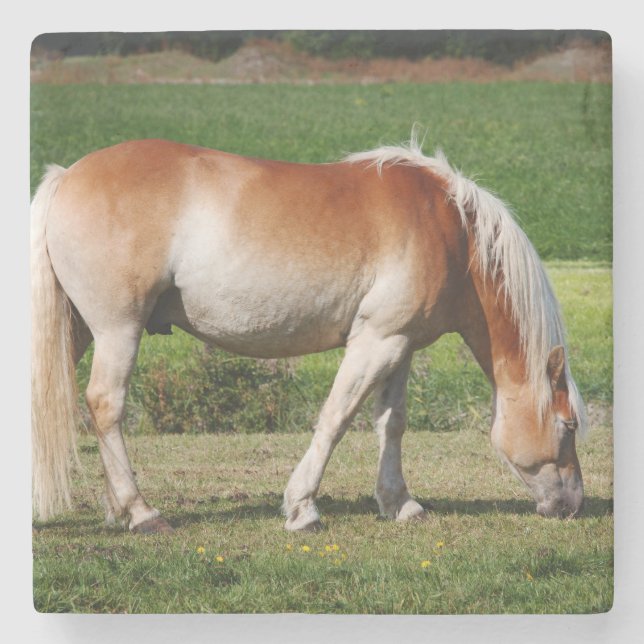 Dessous-de-verre En Pierre Portrait de cheval (Devant)