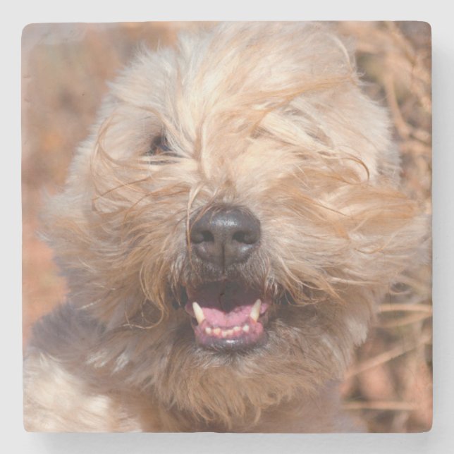 Dessous-de-verre En Pierre Portrait de Terrier Wheaten à poil doux (Devant)