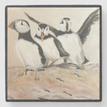 Puffin