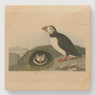 Dessous-de-verre En Pierre Puffin atlantique des oiseaux d'Amérique d'Audubon