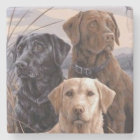 Récupérateurs Labrador