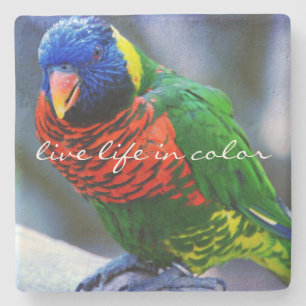 Dessous-de-verre En Pierre Red Blue Green Bird Photo Live Life in Color Citat