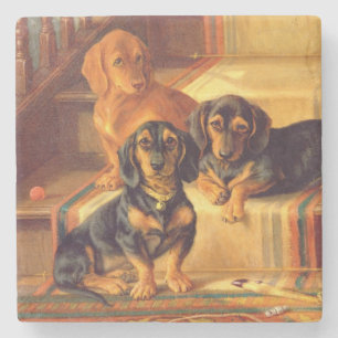 Dessous-de-verre En Pierre Refinities à la mode