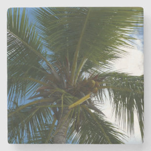 Dessous-de-verre En Pierre Regard sur le palmier à coco Nature tropicale