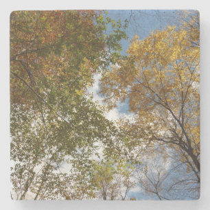 Dessous-de-verre En Pierre Regard sur les feuilles d'automne II Automne Natur