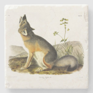 Dessous-de-verre En Pierre Renard rapide (Vulpes Velox) des Quadrupeds d'Audu