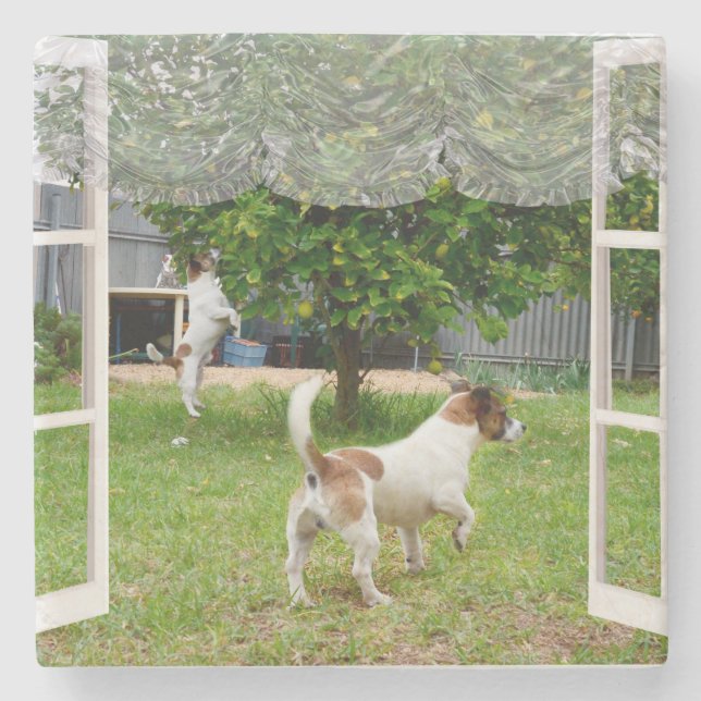 Dessous-de-verre En Pierre Renard Terriers À La Découverte Du Jardin, (Devant)