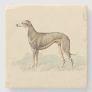 Dessous-de-verre En Pierre Retro Greyhound Whippet 