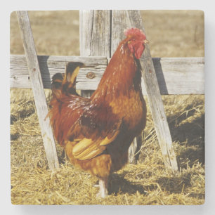 Dessous-de-verre En Pierre Rhode Island Red Rooster