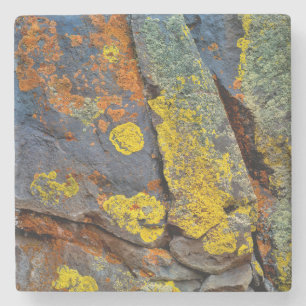 Dessous-de-verre En Pierre Roches couvertes de lichen