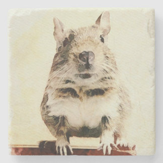 Dessous-de-verre En Pierre ⊿Rodent world⊿