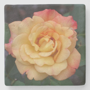 Dessous-de-verre En Pierre Rose Beautiful Pink and Yellow Floral