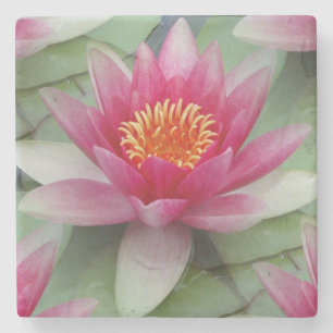 Dessous-de-verre En Pierre Rose Lotus Water Lily