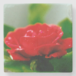 Dessous-de-verre En Pierre Rose rouge de la passion couverte de gouttes de ro