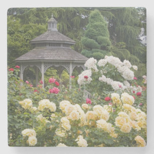 Dessous-de-verre En Pierre Roses en fleurs et roseraie du belvédère à