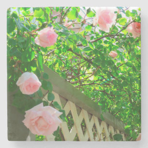 Dessous-de-verre En Pierre Roses roses et treillis roses - Le vignoble de Mar