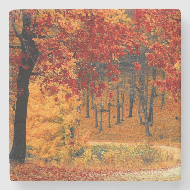 Dessous-de-verre En Pierre Route d'automne (Devant)