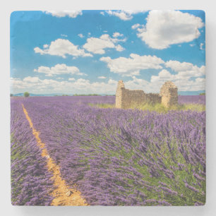 Dessous-de-verre En Pierre Ruine dans Lavender Field, France
